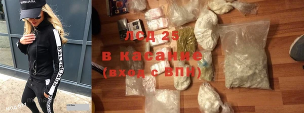 стаф Арсеньев