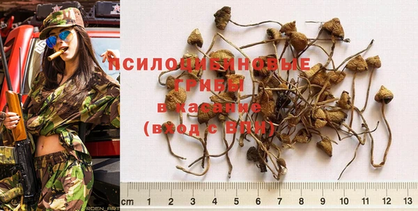 прущая мука Аркадак