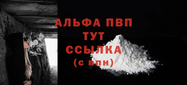 стаф Арсеньев