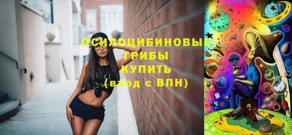 стаф Арсеньев