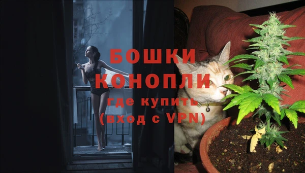 стаф Арсеньев