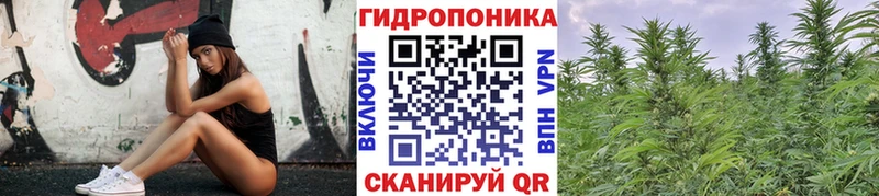 Конопля индика  Спасск-Рязанский 